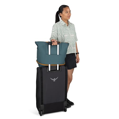 Osprey Daylite 라지 토트 위켄드 팩, 블루 OS - color: 토렌트 블루