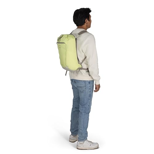 Osprey Daylite 신치 백팩 - 하이킹, 축제 및 일상 생활을 위한 경량 여행 가방, 퍼지 윈도우 프린트/토렌트 블루 - color: 퍼지 윈도우 프린트-토렌트 블루