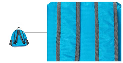 Backpack Packable Foldable Ultra Lightweight Water Resistant Durable Camping Travel Hiking Daypack for Men Women (Grey) - color: Grey
