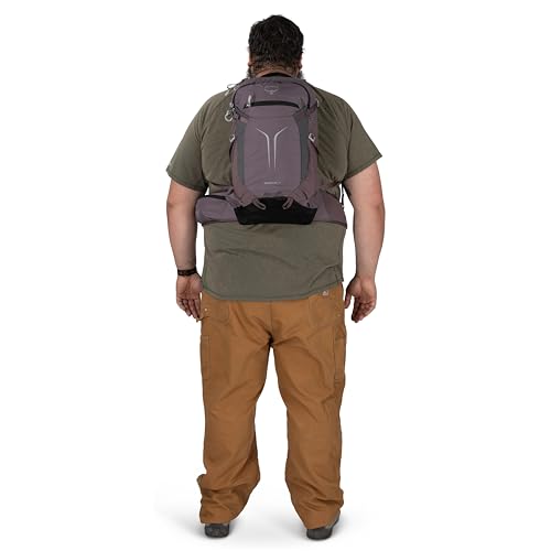 Osprey Sportlite 25L Lightweight Hiking Backpack, Purple OS - color: Graphite Purple, style: 25l - Extended Fit