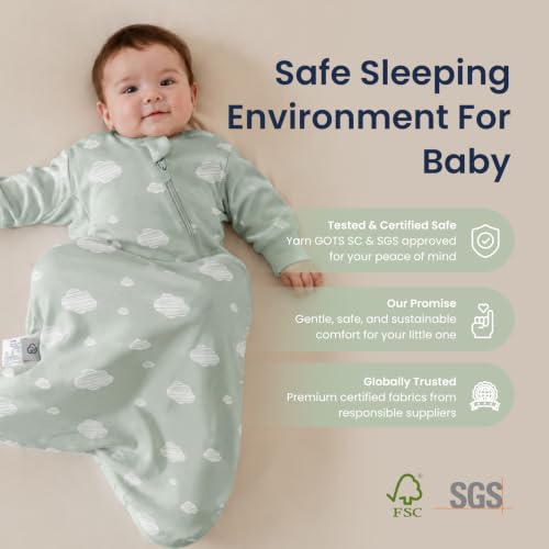 KaiyaBaby Organic Cotton Baby Sleep Sack, Long Sleeve 1.0 TOG, 0-6M - color: Green Sky, size: 0-6M