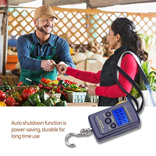Fishing Scale, Weiheng WH-A01L Portable Plastic Electric Digital Hanging Scale with Hook Tool Fishing Luggage (40kg*10g Without Battery Delivery)