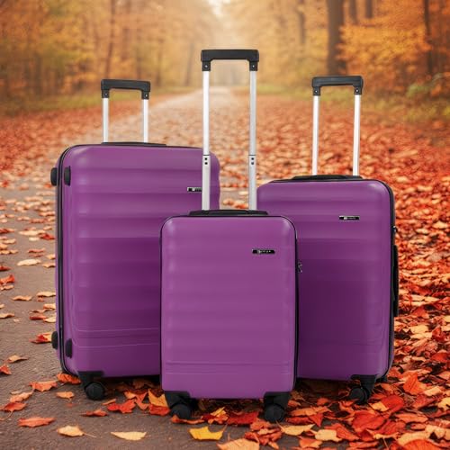 BABIL 3 Piece Luggage Set, ABS Hardside Suitcase Set with Spinner Wheels, TSA Lock, Lightweight Triplet Travel Luggage, 20/24/28 Inch Carry On and Checked Bags (Violet) - color: Violet