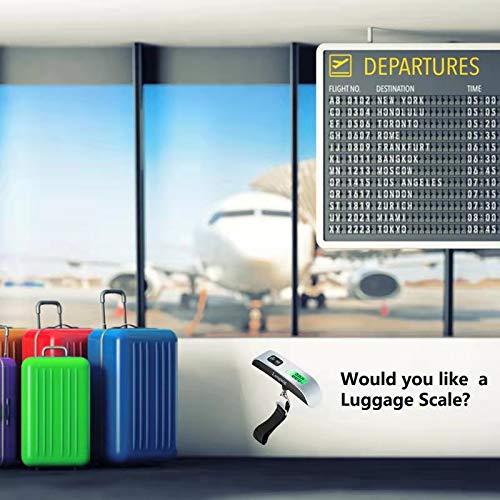 Digital Hanging Luggage Scale with Backlit for Travel, Portable Handheld Suitcase Weight Scale with Hook, 110 Pounds, Battery Included - color: Silver