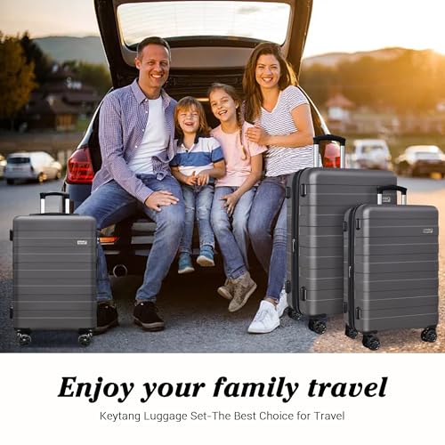 KEYTANG Zebra Luggage Sets 3 Piece, 20" Carry On Luggage with Spinner Wheels, Hardside Business Travel Suitcase Set with TSA Lock, Lightweight Suitcase,20/24/28 inch,Grey - color: Grey, size: 555-3PCS