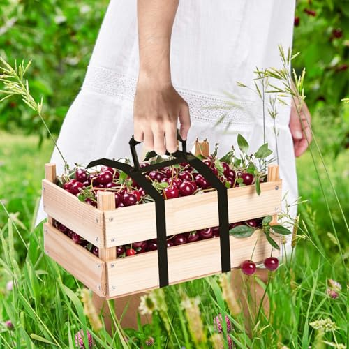 81" Box Carrying Strap with Handle, H-Shaped, Adjustable Lifter for Moving