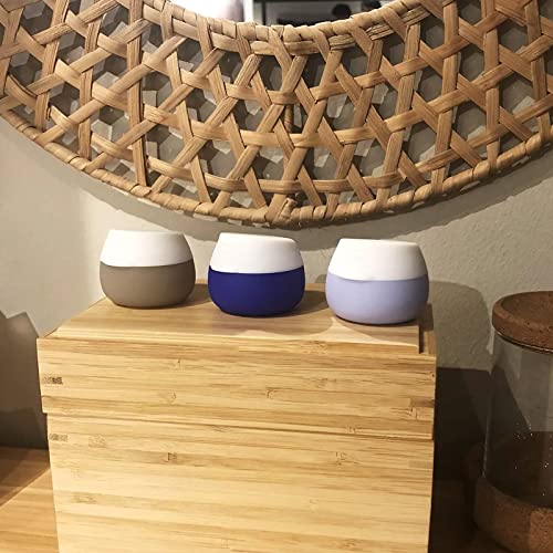 Gemice Travel Size Containers for Toiletries,1oz,4 Pack,Blue - color: Blue