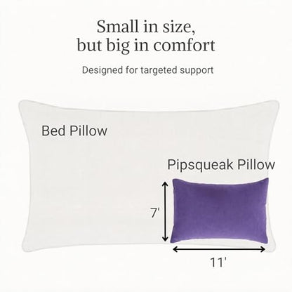 Pipsqueak Travel Pillow - Small, Mini, Tiny - 11 x 7 in, Microfiber - color: Purple, size: 2 Pack, style: Non-Personalized