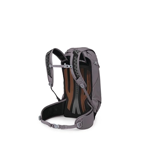 Osprey Sportlite 22L Lightweight Hiking Backpack, Purple OS - color: Graphite Purple, style: 22l