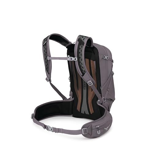 Osprey Sportlite 25L Lightweight Hiking Backpack, Purple OS - color: Graphite Purple, style: 25l - Extended Fit