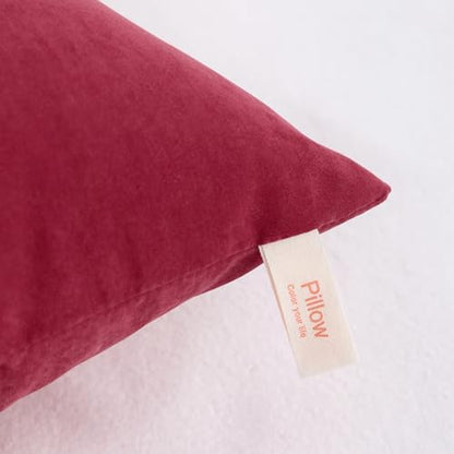 NTBAY Toddler Pillows, Down Alternative 13"x18" Pillows, Machine Washable - Soft and Breathable Travel Small Pillows for Sleeping, Ideal for Daycare, Crib, Cot, Red | Soft Microfiber Toddler Pillows with Down-Alternative Fill, 2 Pack 13 x 18 Inch Pillows