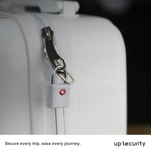 TSA Locks for Luggage, Suitcase, Small Padlock with Key, Metal - color: Gray
