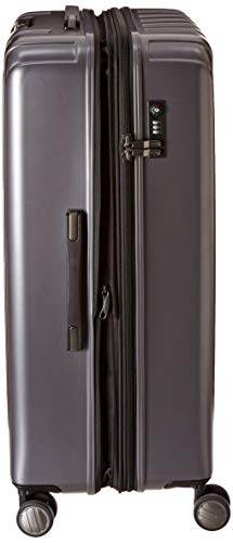 DELSEY PARIS Titanium Hardside Expandable Luggage with Spinner Wheels Checked Luggage, Graphite, Checked-Large 29 Inch - color: Graphite, size: Checked-Large 29 Inch