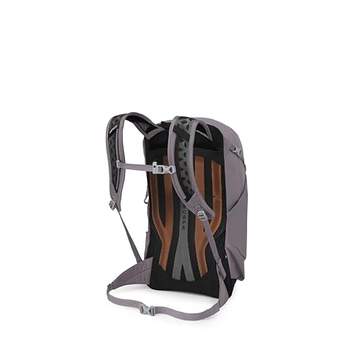 Osprey Sportlite 20L Lightweight Hiking Backpack, Purple OS - color: Graphite Purple, style: 20l