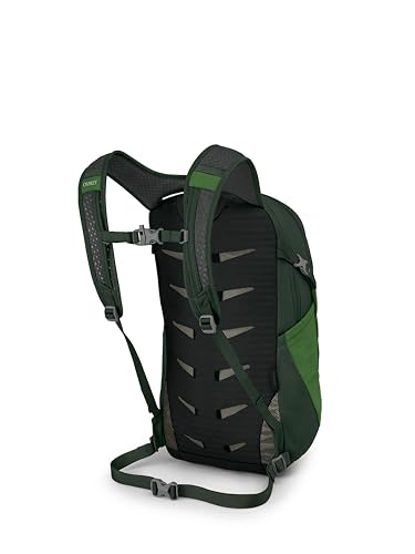 Osprey Daylite Commuter Backpack, Green OS - color: Green Belt/Green Canopy