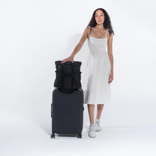 Sherpani Soleil, Anti Theft Convertible Backpack Tote (Green Aloe Mist) - color: Green Aloe Mist