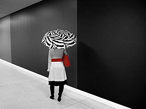 Vinrella Wine Bottle Umbrella - color: Zebra Striped