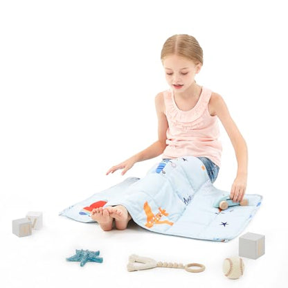 Weighted Blanket 2lbs Small Weighted Lap Pad Gifts, 20"x30" Airplane - color: Blue Airplane, size: 20"×30" 2lbs
