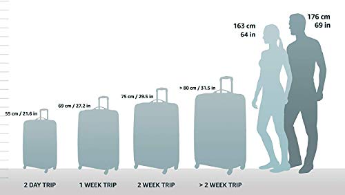 Rockland Melbourne Hardside Expandable Spinner Wheel Luggage, Purple, Carry-On 20 inches - color: Purple, size: Carry-On 20"
