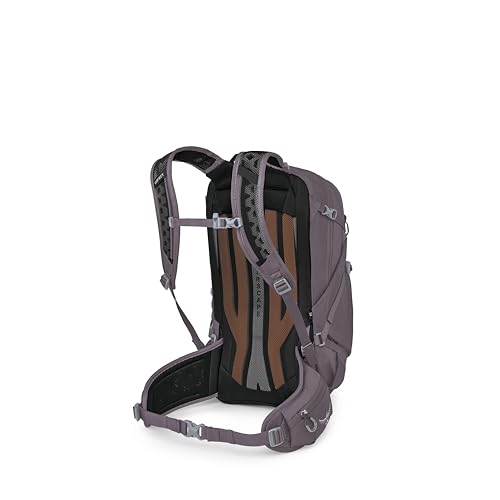 Osprey Sportlite 25L Lightweight Hiking Backpack, Purple OS - color: Graphite Purple, style: 25l