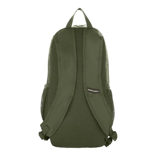 Eddie Bauer Stowaway Packable Backpack | Travel | Outdoor | Lightweight | Foldable | Durable | Ripstop Polyester | 20L - Irish Green - color: Irish Green, size: 20L