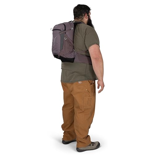 Osprey Sportlite 25L Lightweight Hiking Backpack, Purple OS - color: Graphite Purple, style: 25l - Extended Fit