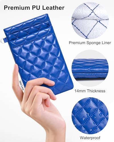 RayLove Double Glasses Case with Carrying Strap and Cleaning Cloth - color: Blue