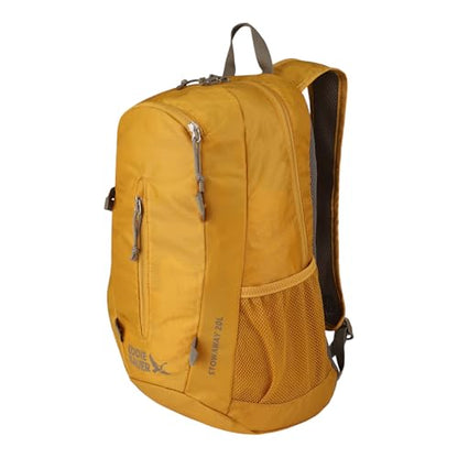 Eddie Bauer Stowaway Packable Backpack - Field Gold, 20L - color: Field Gold, size: 20L