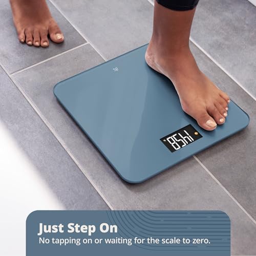 Greater Goods AccuCheck Digital Bathroom Scale for Body Weight (Stone Blue) | Accurate Weight Scale with Double-Check Tech, Large High-Contrast Backlit Display, 400lb Capacity, Easy to Read, Auto-Step On - color: Stone Blue