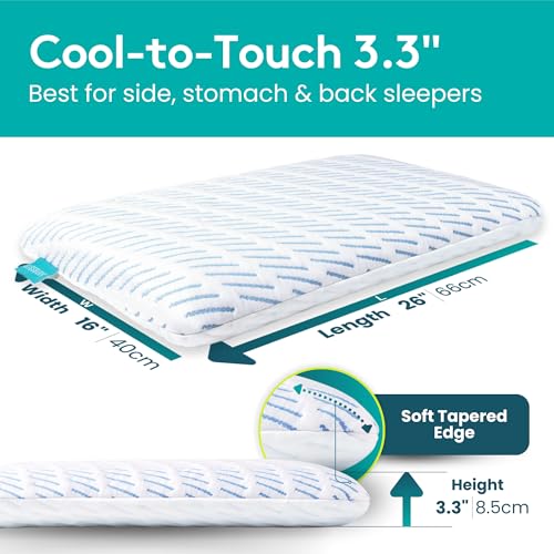 BLISSBURY Cooling Stomach Sleeper Pillow, Low Loft Memory Foam, 3.3 Inch - color: Cooling (White), size: 3.3"H (Queen)