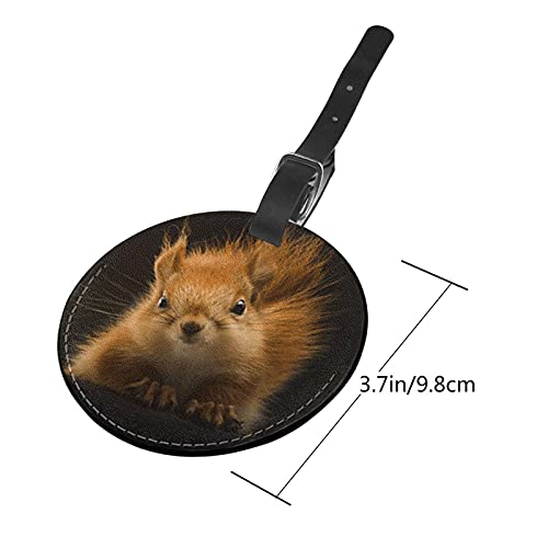 Luggage Tag Squirrel Animal 26, Pu Leather Bag Travel Suitcases Id Identifier Baggage Label for Women Men Boys Girls