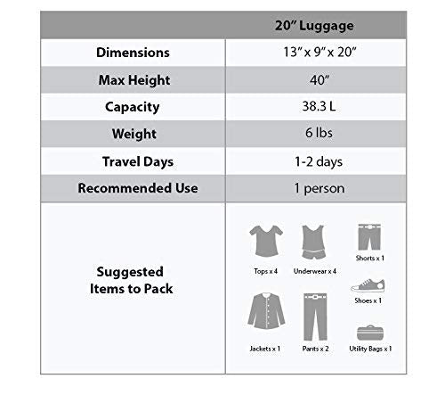 Rockland Safari Hardside Spinner Wheel Luggage, Carry-on 20", Leopard - color: Leopard, size: 20 Inch