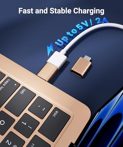 Syntech USB C to USB Adapter Pack of 2, USB 3.0 to Thunderbolt 5/4 Adapter - color: Gold, size: 1.08 X 0.65 X 0.32 Inch