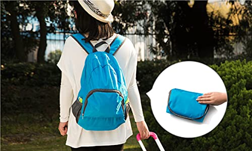 Backpack Packable Foldable Ultra Lightweight Water Resistant Durable Camping Travel Hiking Daypack for Men Women (Grey) - color: Grey