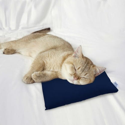 Small Pillow Mini Pillow for Travel 2 Pack 11" x 7" Tiny Pillows, Blue - color: Blue