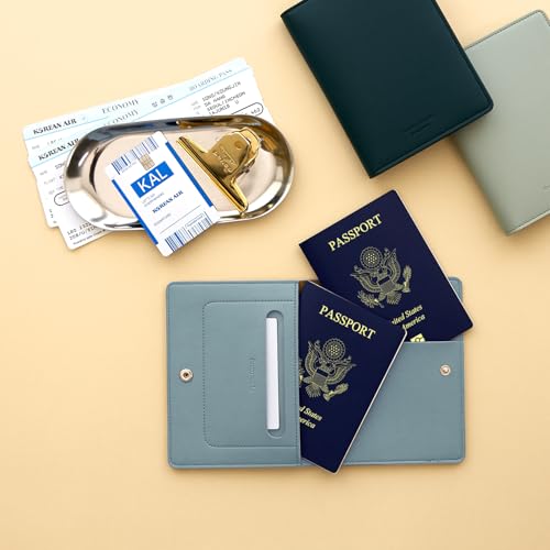 carrotez Premium RFID Blocking Leather Passport Cover – Fog Blue - color: Fog Blue
