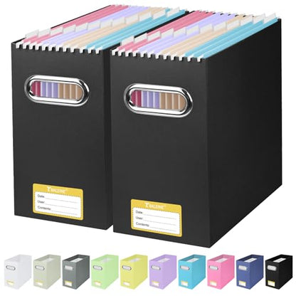 BALEINE 2PK File Organizer Box, Cardboard File Folder Organizer with Handle - color: Black, style: 2PK (Slim)