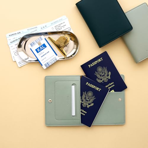 carrotez Premium RFID Blocking Leather Passport Cover – Mint Grey - color: Mint Grey
