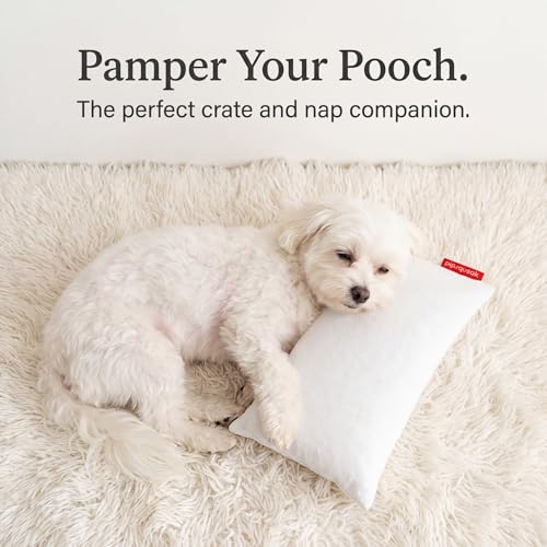 Pipsqueak Travel Pillow - Small, Mini, Tiny - 11 x 7 in, Microfiber - color: Khaki, size: 1 Pack, style: Non-Personalized
