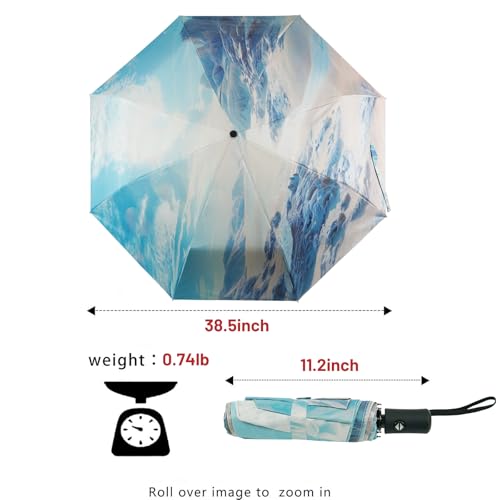 SY COMPACT Travel Umbrella - Windproof Automatic Compact Umbrellas for Rain - color: Coast