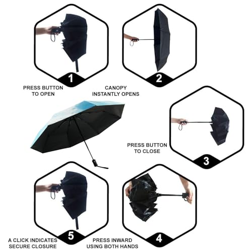 SY COMPACT Travel Umbrella - Windproof Automatic Compact Umbrellas for Rain - color: Coast