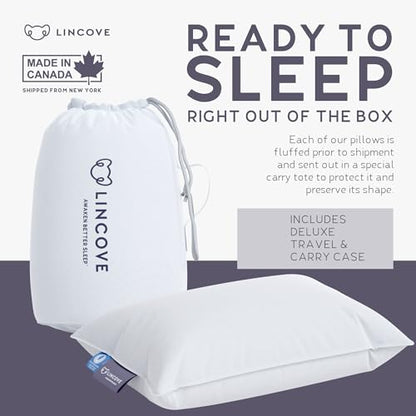Lincove Canadian Down Feather Travel Pillow - Luxury Pillows to Support Head, Neck, While Sleeping on Airplanes, Cars, Hotels & Home - Comfortable Vacation Sleeping Essential, 13"x18" - style: 13"x18" 1 Pack