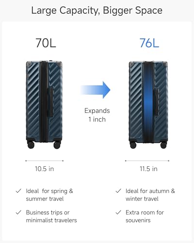 LUGGEX 24 Inch Checked Luggage with Spinner Wheels, Charcoal Metallic - color: Charcoal Metallic, size: Checked-Medium 24-Inch