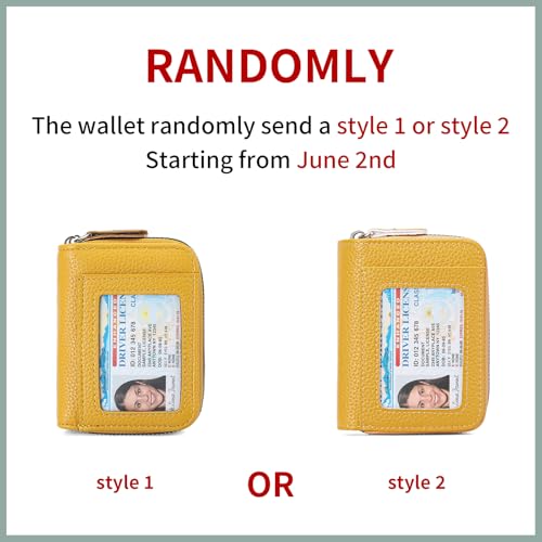 RNIEGA Credit Card Holder Wallet RFID Blocking Leather Small Wallet for Women Double Zipper Wallet with ID Window - color: A-Yellow