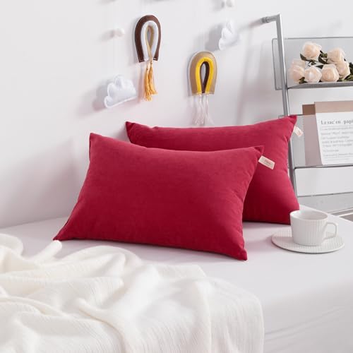 NTBAY Toddler Pillows, Down Alternative 13"x18" Pillows, Machine Washable - Soft and Breathable Travel Small Pillows for Sleeping, Ideal for Daycare, Crib, Cot, Red | Soft Microfiber Toddler Pillows with Down-Alternative Fill, 2 Pack 13 x 18 Inch Pillows