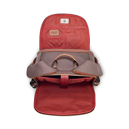 DELSEY PARIS Chatelet Air 2.0, Carry-On and Backpack, Chocolate Brown - color: Chocolate Brown, size: 2 Piece Set (20/Backpack)