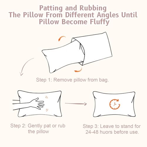 vocheer Small Pillow with Removable Cover, 11"x 7" Tiny Travel Pillow 1PC - color: Dove-1pc