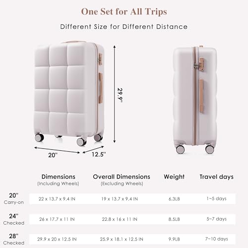 Hard Shell Suit case with Spinner Wheel Lightweight TSA Lock - color: gray(horizontal stripe), size: 20/24/28 Inch