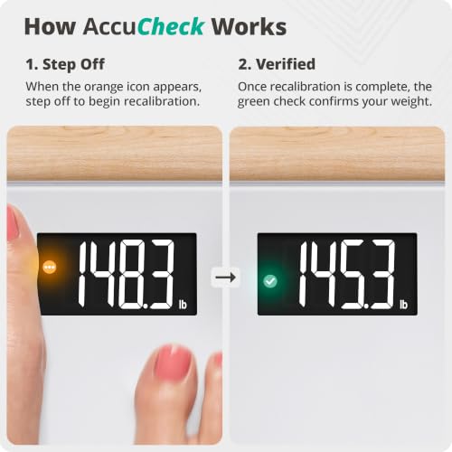 Greater Goods AccuCheck Digital Bathroom Scale for Body Weight (Pearl Gray) - color: Pearl Gray