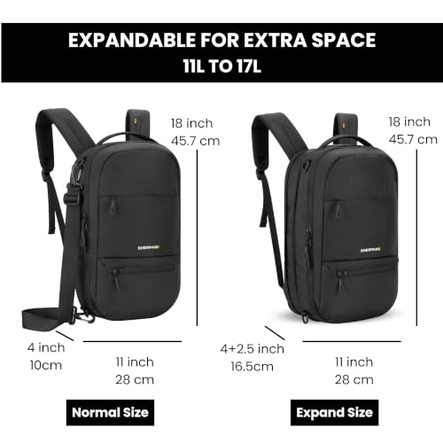 Sherpani Camden Pro Convertible Laptop Backpack (Raven) - color: Raven